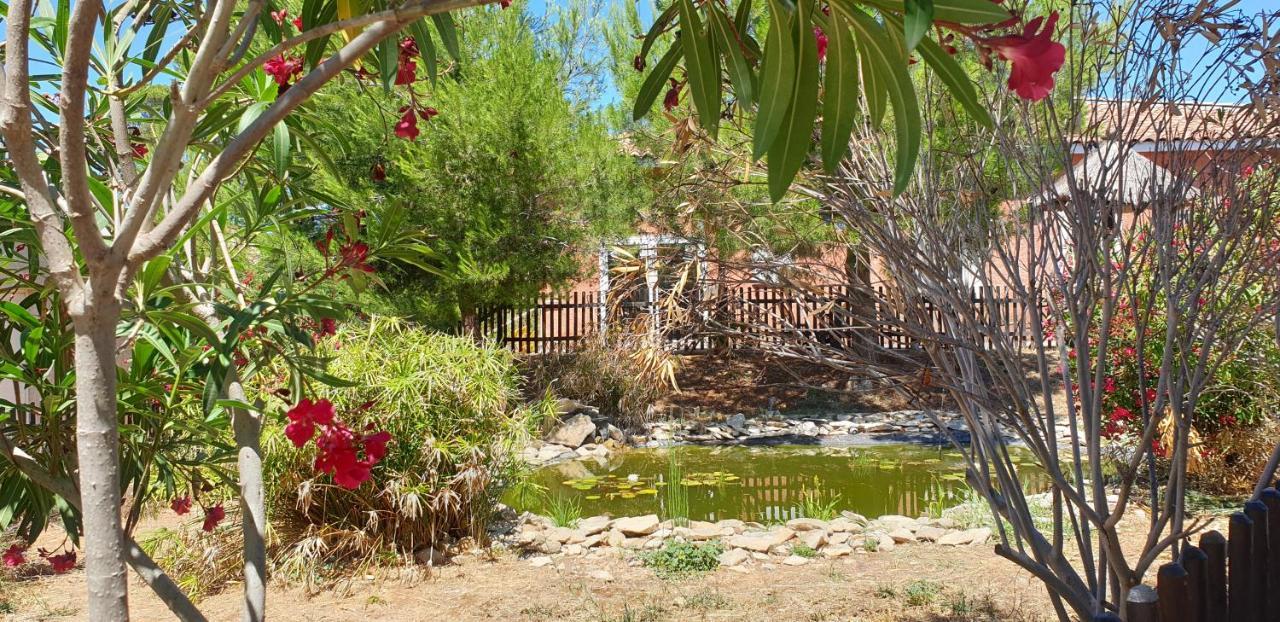 Maison Climatisee Avec Piscine Chauffee กัลวีสซง ภายนอก รูปภาพ
